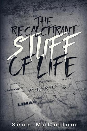 Cover image for The Recalcitrant Stuff Of Life