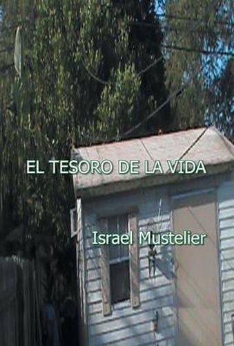 Cover image for El Tesoro de La Vida