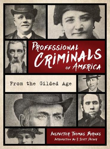 Cover image for Professional Criminals of America: From Gilded Age New York