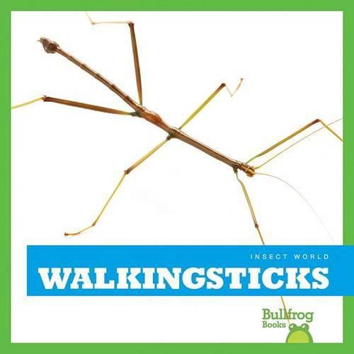 Cover image for Walkingsticks