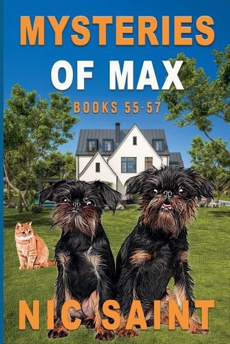 Cover image for Mysteries of Max