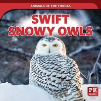 Cover image for Swift Snowy Owls