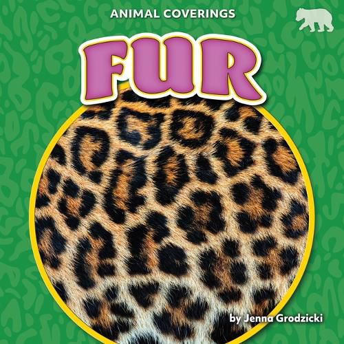 Cover image for Fur