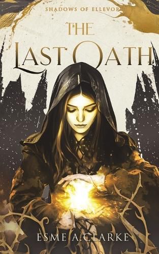Cover image for The Last Oath