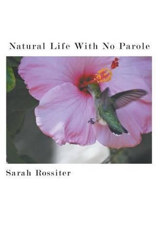 Cover image for Natural Life with No Parole