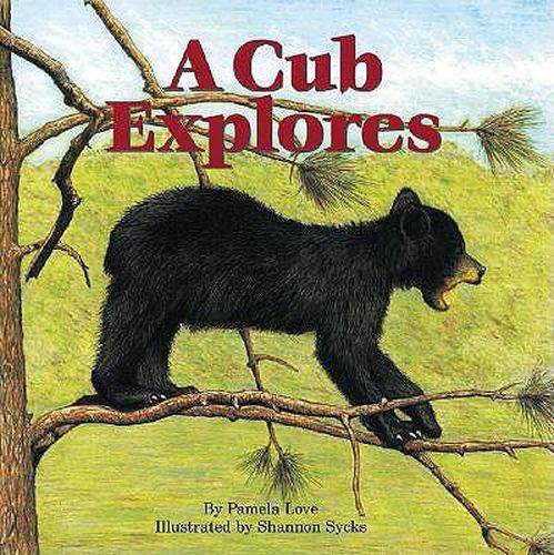 Cover image for A Cub Explores