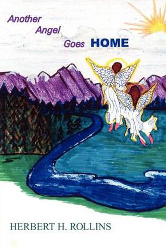 Cover image for Another Angel Goes Home