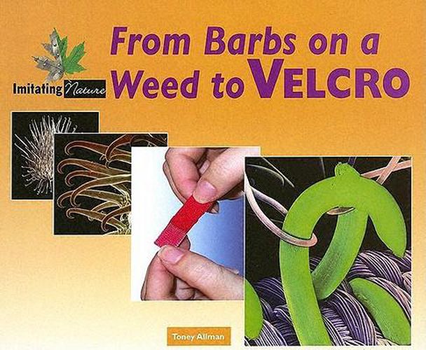 Cover image for From Barbs on a Weed to Velcro