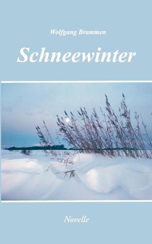 Cover image for Schneewinter