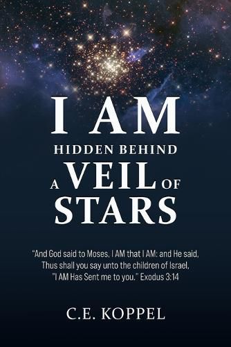 Cover image for I Am Hidden Behind a Veil of Stars