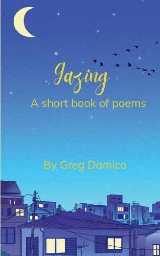 Cover image for Gazing (Edition1st)