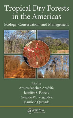 Cover image for Tropical Dry Forests in the Americas: Ecology, Conservation, and Management