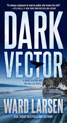 Cover image for Dark Vector