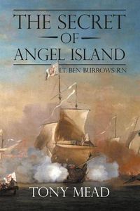 Cover image for The Secret of Angel Island