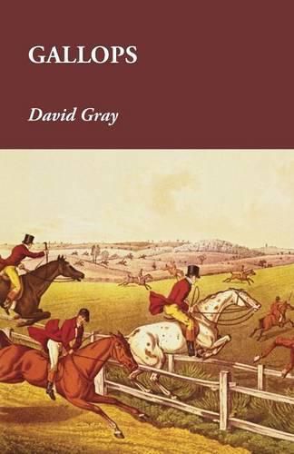 Cover image for Gallops