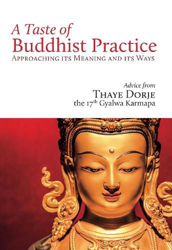 Cover image for A Taste of Buddhist Practice: Approaching its Meaning and Its Ways