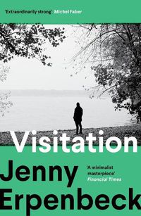 Cover image for Visitation