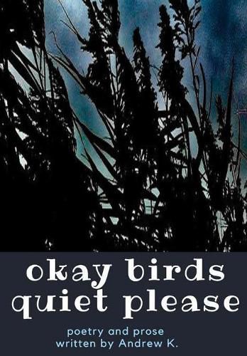 Cover image for okay birds quiet please (deluxe hardcover edition)