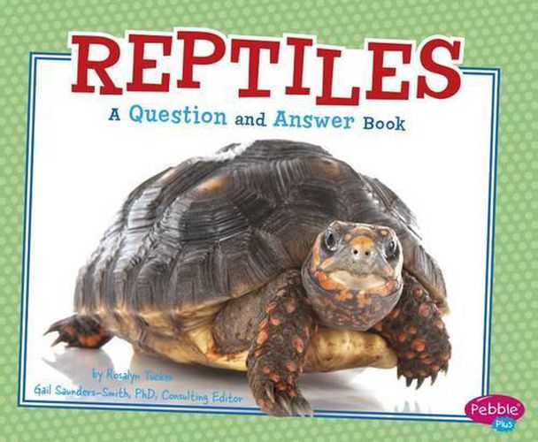 Cover image for Reptiles QandA