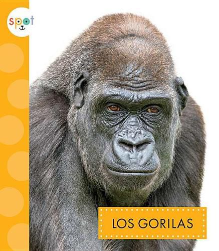 Cover image for Los Gorilas