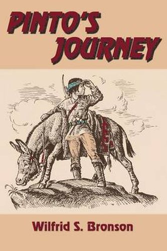 Cover image for Pinto's Journey