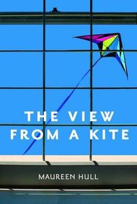 Cover image for View from a Kite