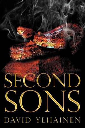 Cover image for Second Sons