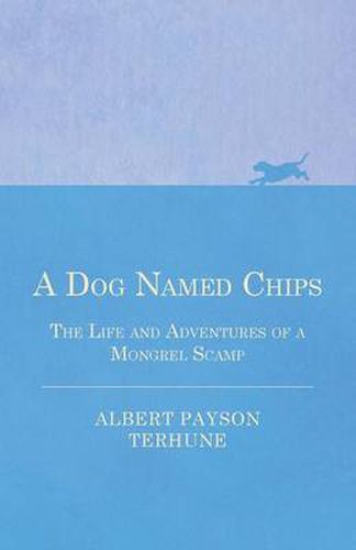 Cover image for A Dog Named Chips - The Life and Adventures of a Mongrel Scamp