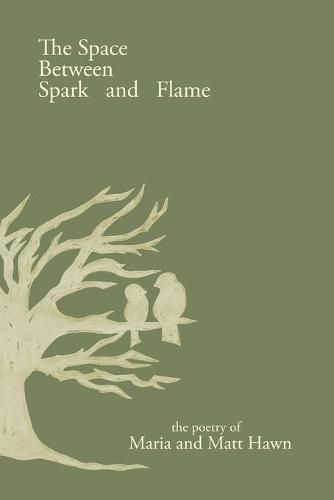 Cover image for The Space Between Spark and Flame