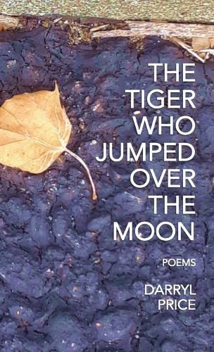 Cover image for The Tiger Who Jumped Over The Moon