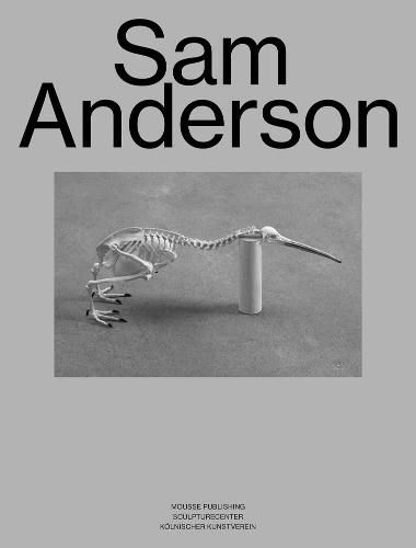 Cover image for Sam Anderson