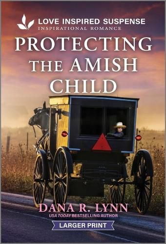 Cover image for Protecting the Amish Child