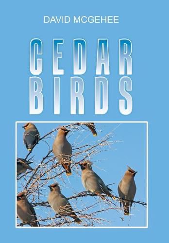Cover image for Cedar Birds