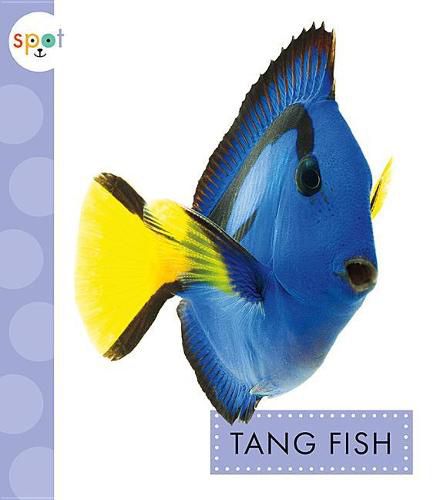 Cover image for Tang Fish