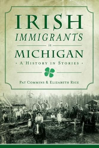Cover image for Irish Immigrants in Michigan: A History in Stories