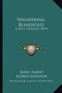 Cover image for Wandering Blindfold: A Boy's Troubles (1879)