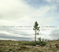Cover image for The Oldest Living Things in the World