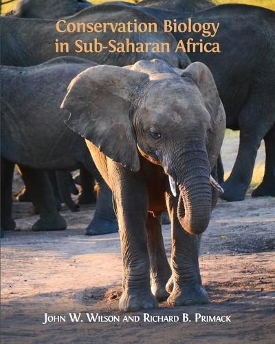 Cover image for Conservation Biology in Sub-Saharan Africa
