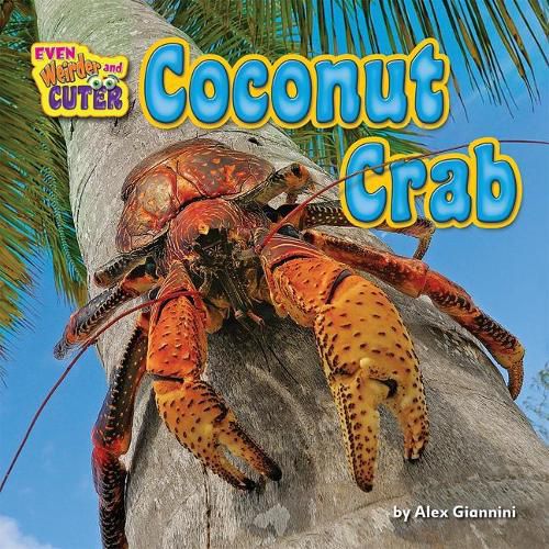 Cover image for Coconut Crab