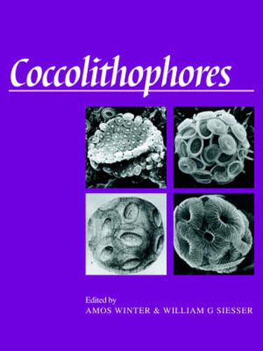 Cover image for Coccolithophores