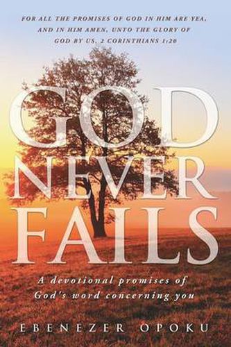 Cover image for God Never Fails