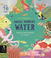 Cover image for Small Worlds: Water