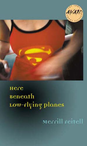 Cover image for Here Beneath Low-Flying Planes