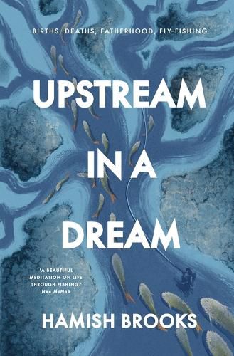 Cover image for Upstream in a Dream