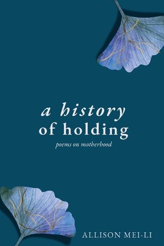 Cover image for A History of Holding