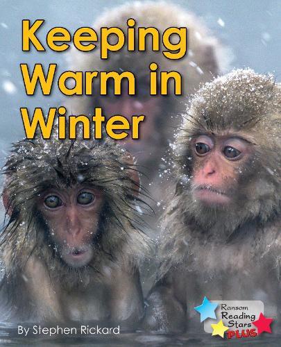 Cover image for Keeping Warm in Winter