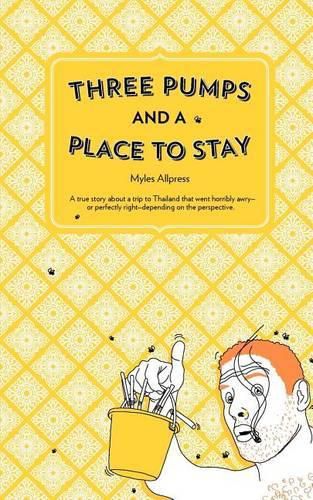 Cover image for Three Pumps and a Place to Stay