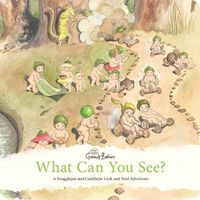 Cover image for What Can You See? a Snugglepot and Cuddlepie Look and Find Adventure (May Gibbs: Gumnut Babies)