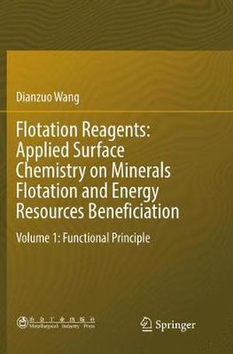 Cover image for Flotation Reagents: Applied Surface Chemistry on Minerals Flotation and Energy Resources Beneficiation: Volume 1: Functional Principle