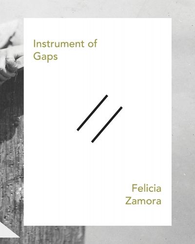 Cover image for Instrument of Gaps